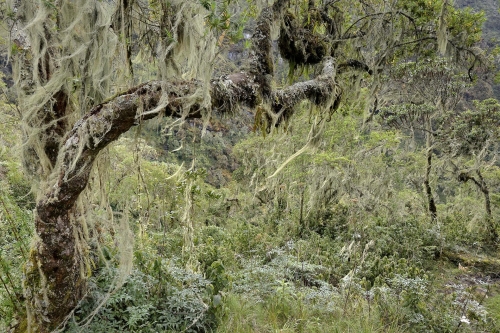 20-nature-photography-natural-places-rwenzori-uganda