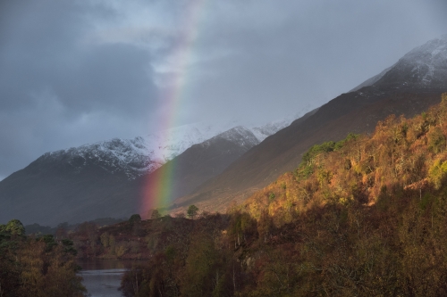 Frederic Demeuse WALD Photography - Highlands Scotland-1