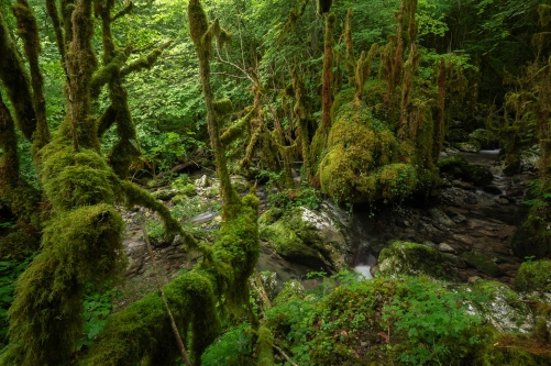 Frederic Demeuse WALD Photography - Pyrenees