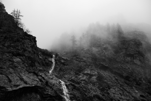 Frédéric-Demeuse-photography-forêts-primaires-forgotten-places-forest-photographer-9 copie 3