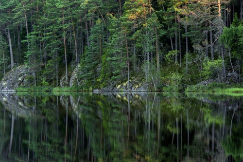 Summer evening quietness