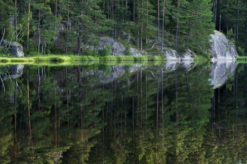 FredericDemeuse-photographer--Fulufjalett-National-Park-Sweden