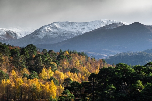 Frédéric-Demeuse-Glenn-Affric-Scotland