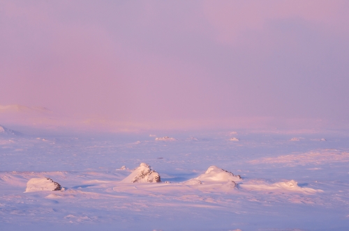 Frédéric-Demeuse-nature-photography-Iceland-4