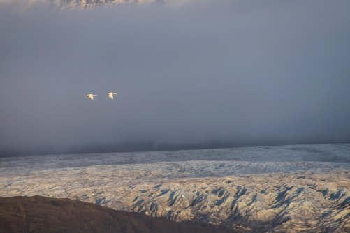 WALD-Deep breath-Iceland