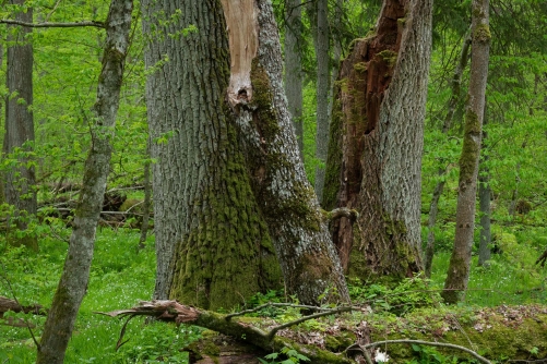 WALD Frederic Demeuse-Forgotten Places-11
