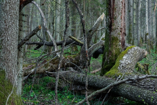 WALD Frederic Demeuse-Forgotten Places-3