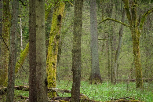WALD Frederic Demeuse-Forgotten Places-9