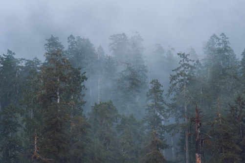 Frederic Demeuse Photographie