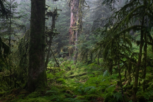 Lost world