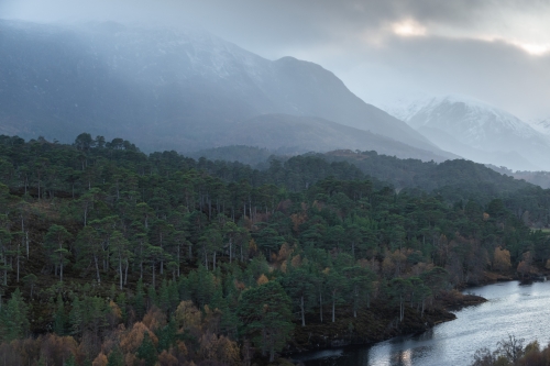 WALD-Frédéric-Demeuse-photography-Glen-Affric-Scotland